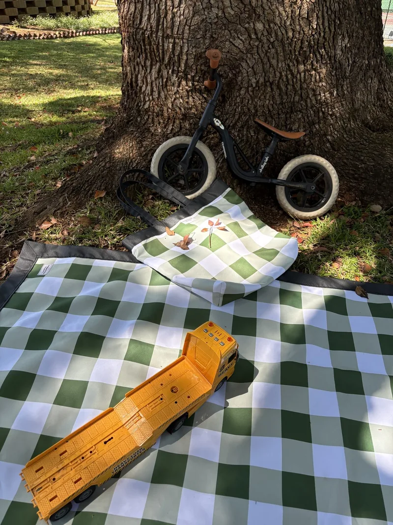 Green and white checked blanket and matching bag under a tree with a balance bike and toy truck